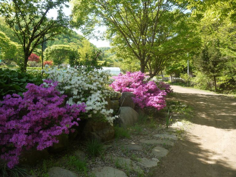 관리소 뒷편의 산책로
