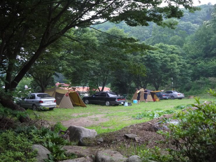 캠핑은 관리소 뒷편에서