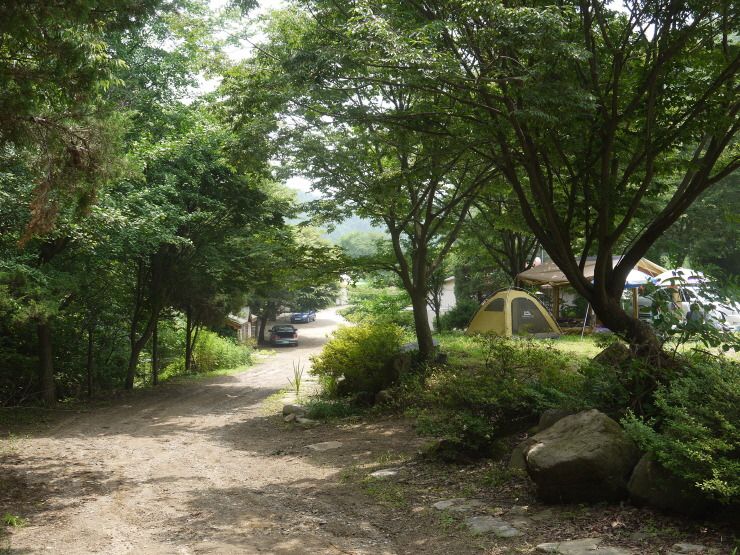 산책로